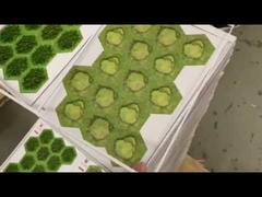 gravação ondulada da caixa da máquina 600T da velocidade 7000s/H automática