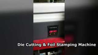 Corte e vinco de alta pressão e estampagem de folhas Mahcine